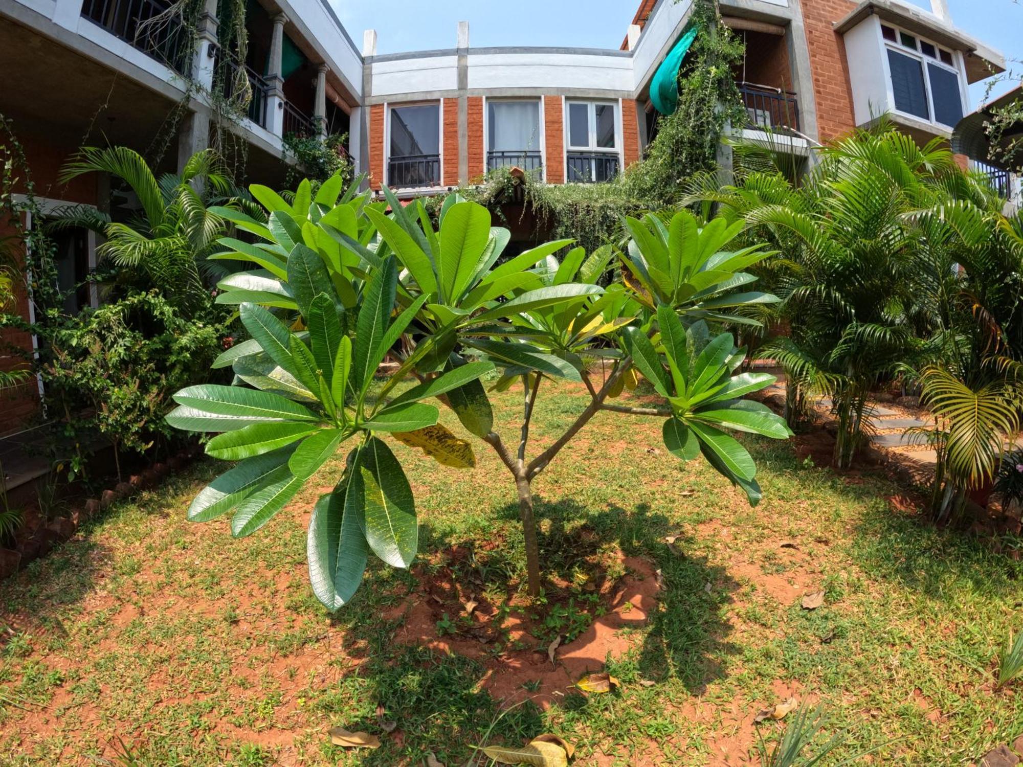 Wow Farm House Auroville Dış mekan fotoğraf